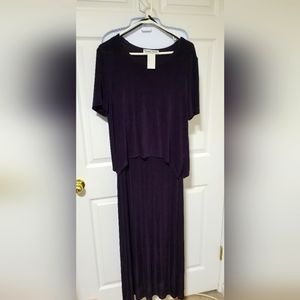 Ronni Nicole 2 piece dress